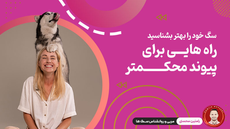 سگ خود را بهتر بشناسید : راه‌هایی برای پیوند محکم‌تر