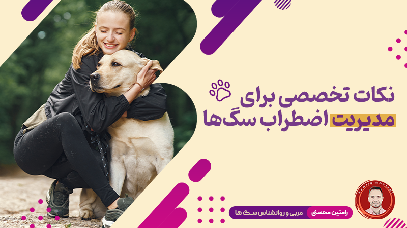 مدیریت اضطراب سگ‌ها