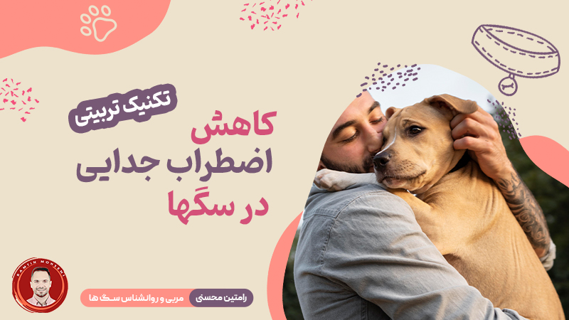تکنیک‌ های تربیتی برای کاهش اضطراب جدایی در سگ