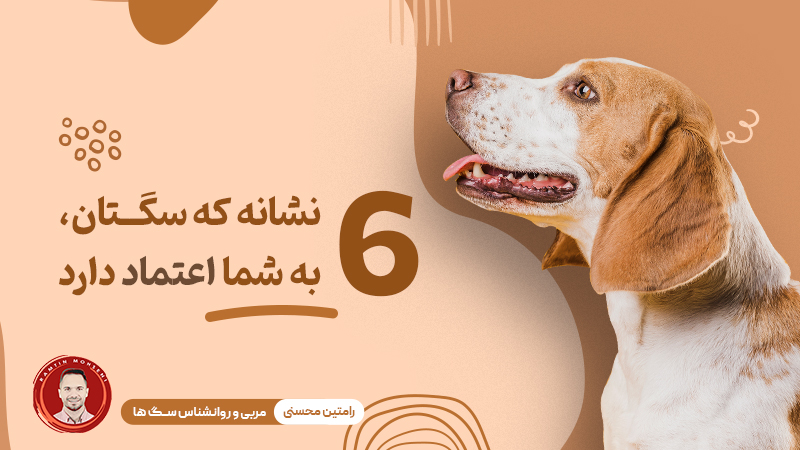 سگتان به شما اعتماد دارد