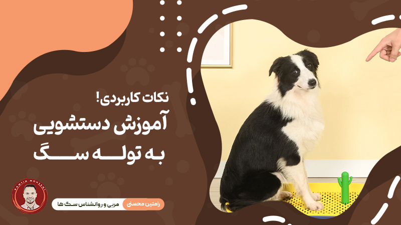 آموزش دستشویی به توله سگ