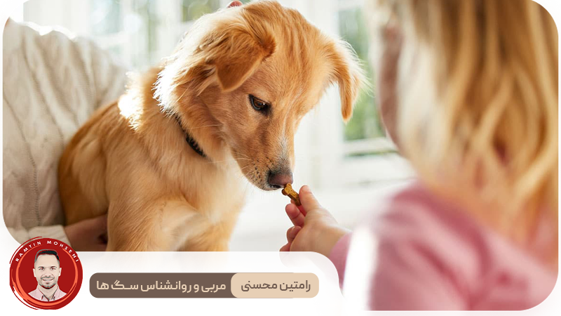 سگتان به شما اعتماد دارد