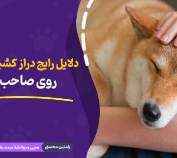 دلایل رایج دراز کشیدن سگ‌ ها روی صاحب خود