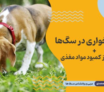 مدفوع خواری در سگ ها : نشاهنه ای از مبود مواد مغذی