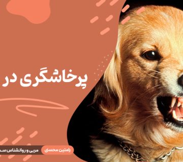 پرخاشگری در سگ‌ ها