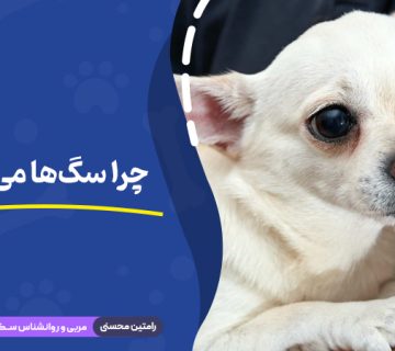 چرا سگ‌ ها می‌لرزند؟