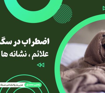 اضطراب در سگ‌ ها: علائم، نشانه‌ها، درمان