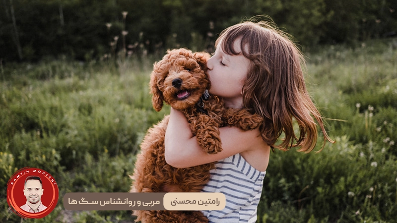 تأثیر آموزش بر درک کلمات توسط سگ‌ ها