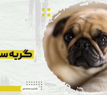 گریه سگ ها