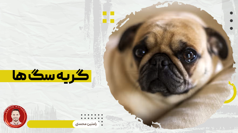 گریه سگ ها